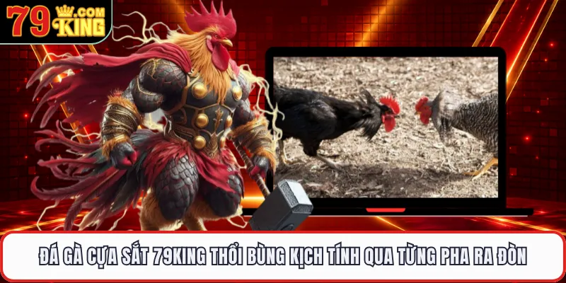 Đá Gà Cựa Sắt 79KING Thổi Bùng Kịch Tính Qua Từng Pha Ra Đòn